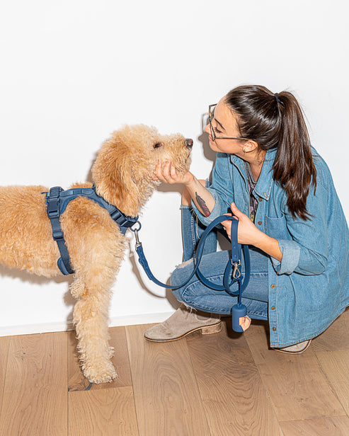 Wild one Dog Leash