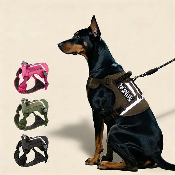 Reflective Tactical Dog Leash & Harness Set - Heavy-Duty Training Leash - Red