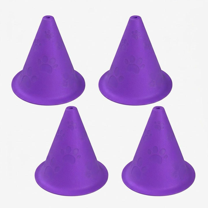 Dog Nosework Starter Set - 4 Training Cones & Fluonose Mini+