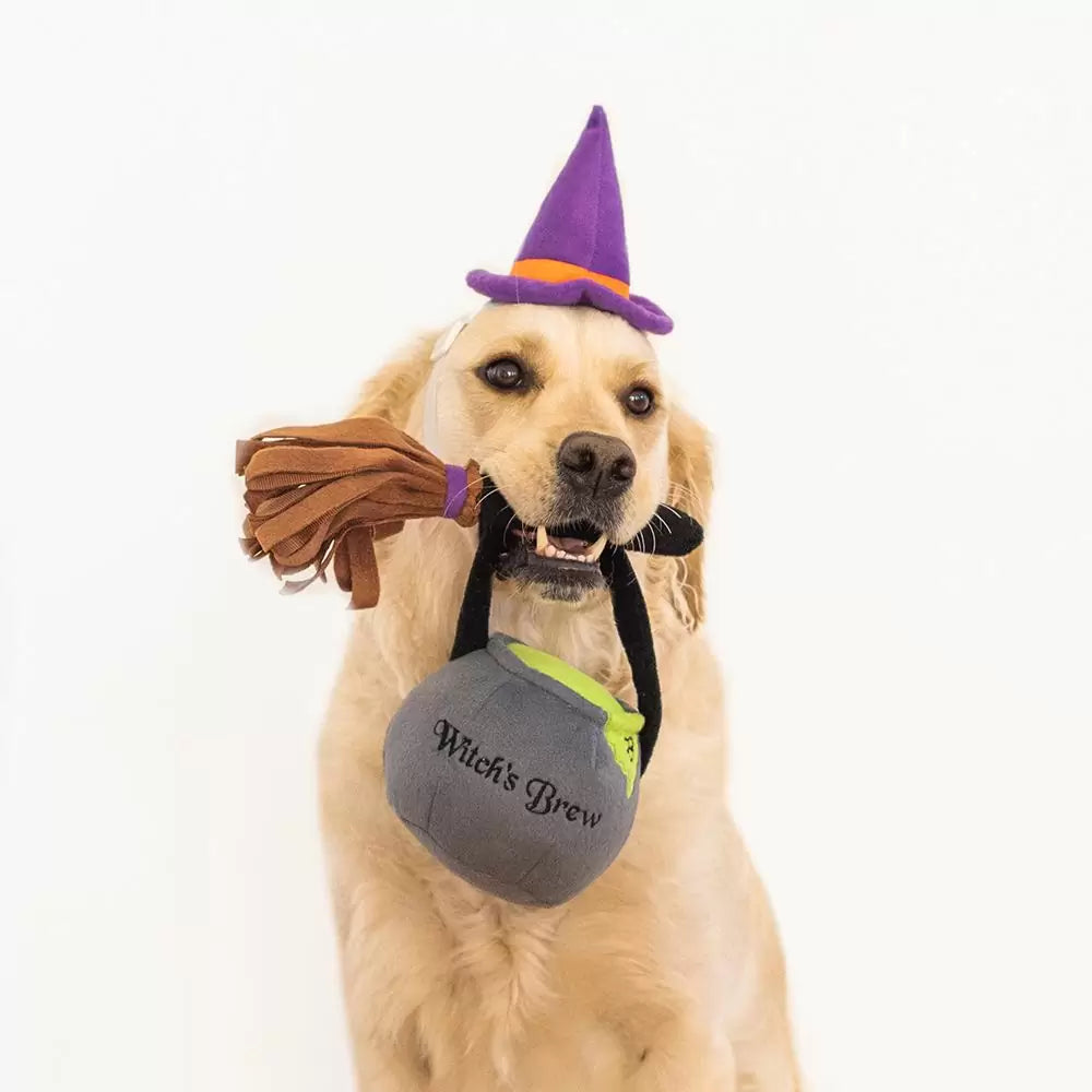 Halloween Witch Costume Kit for Dogs
