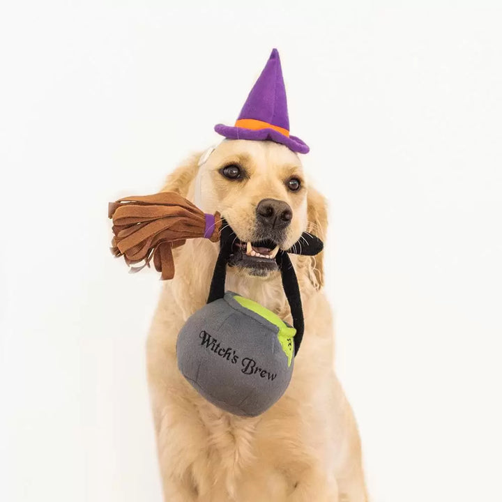 Halloween Witch Costume Kit for Dogs