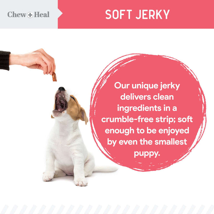 Puppy Soft 'N Yummy Wild Alaskan Salmon Limited Ingredient Jerky Dog Treats