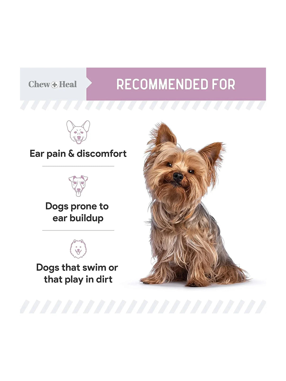 Advanced Antiseptic Otic Chlorhexidine Ear Flush for Dogs