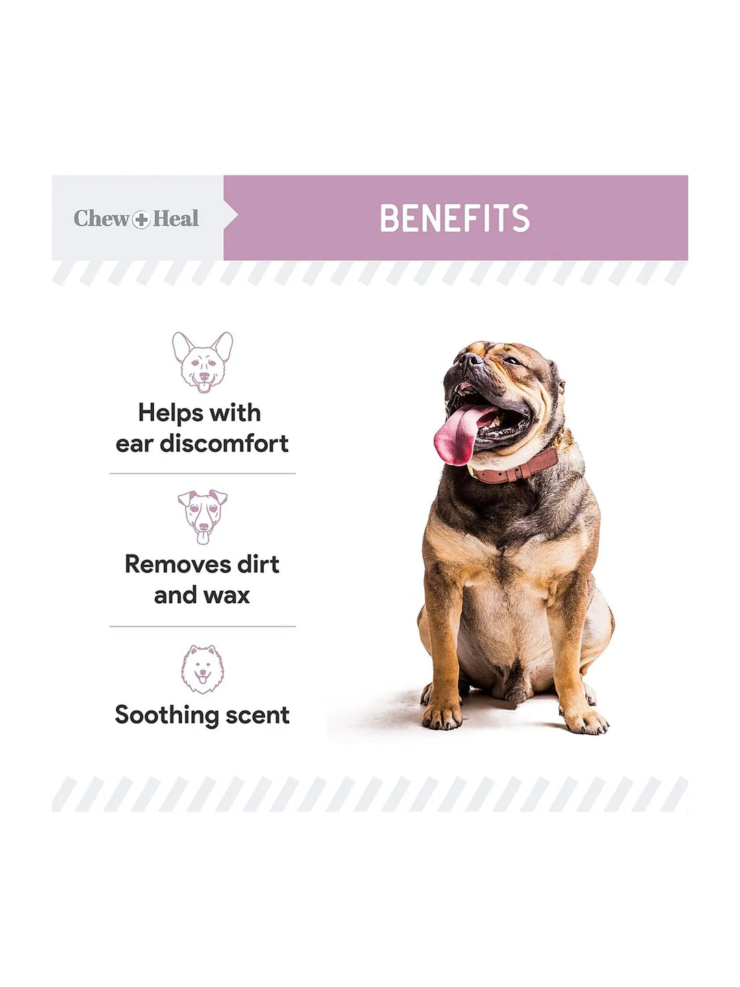 Advanced Antiseptic Otic Chlorhexidine Ear Flush for Dogs