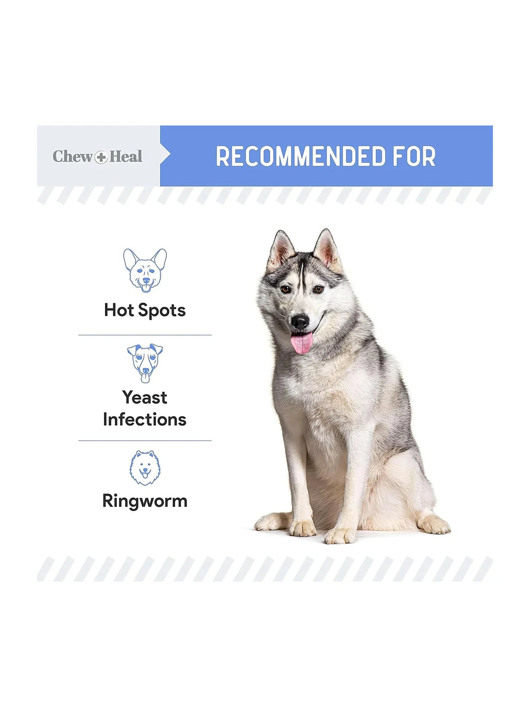 Advanced Chlorhexidine Medicated Wound Care Spray for Dogs