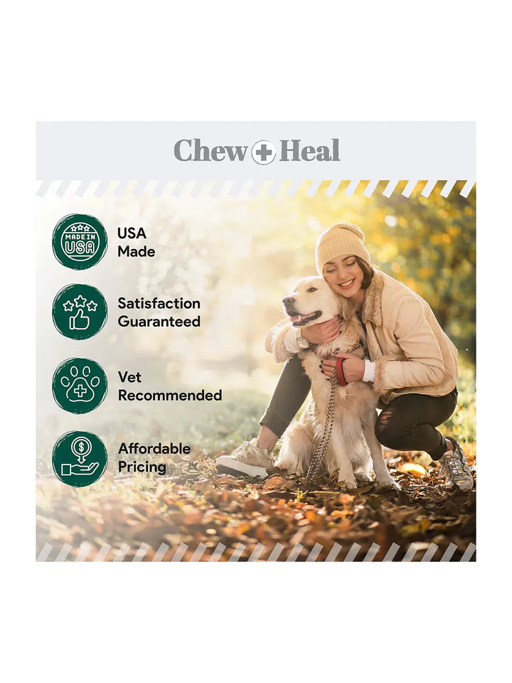 Advanced Hydrocortisone Medicated Wound Care Spray for Dogs