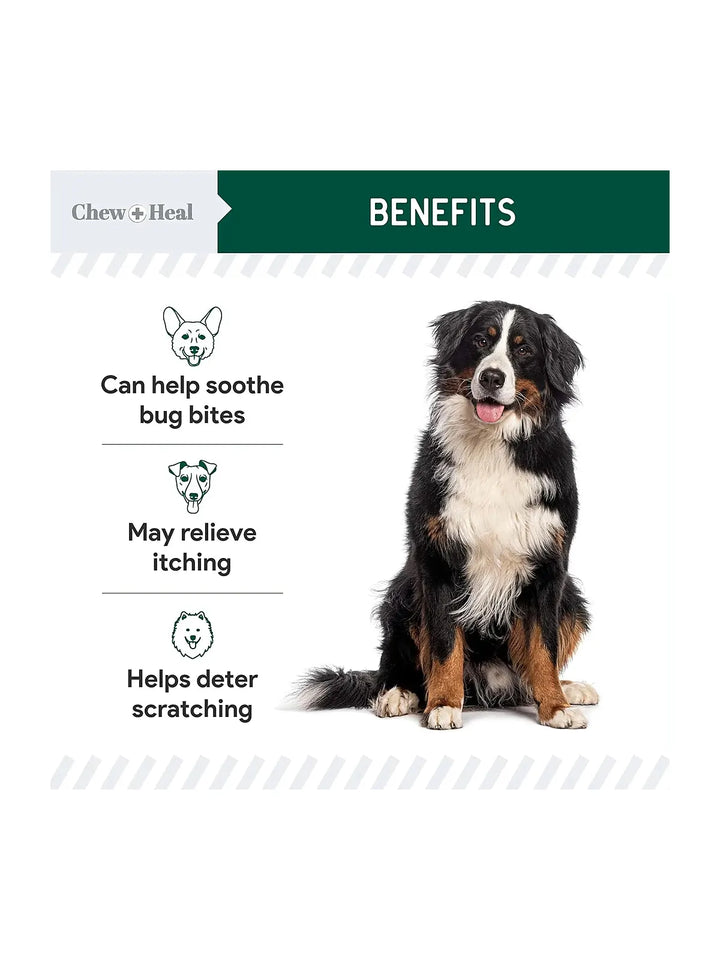 Advanced Hydrocortisone Medicated Wound Care Spray for Dogs