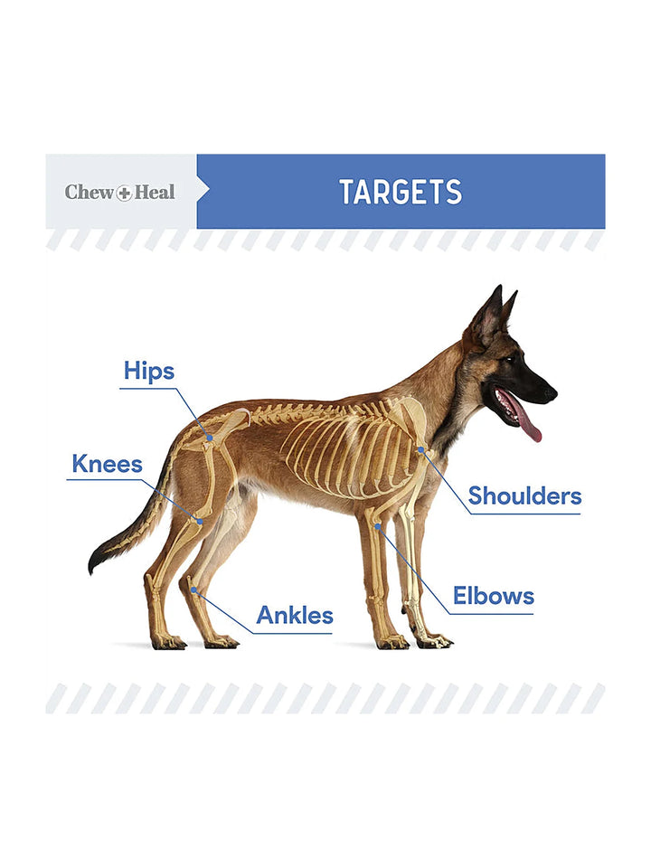 High-Potency Advanced Mobility Support Liquid Supplement for Senior Dogs