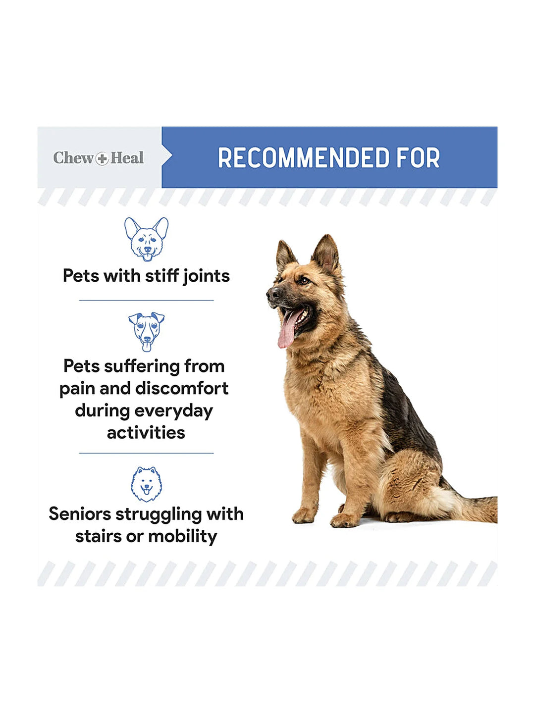 High-Potency Advanced Mobility Support Liquid Supplement for Senior Dogs