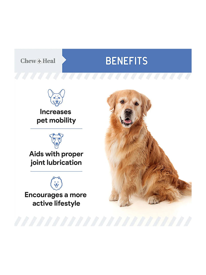 High-Potency Advanced Mobility Support Liquid Supplement for Senior Dogs
