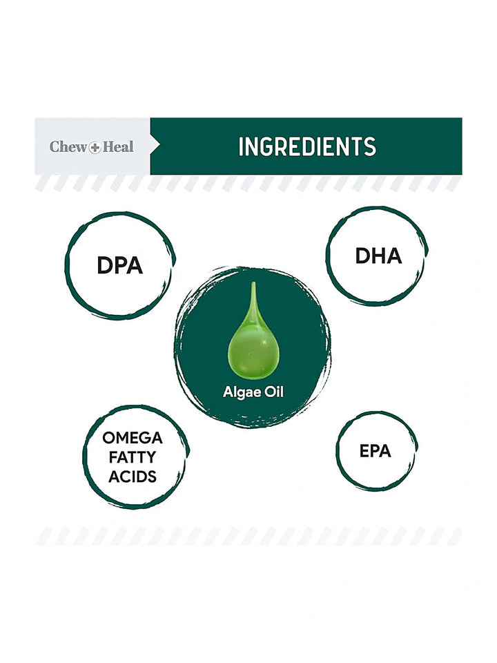 Algae Omega 3 Oil for Dogs
