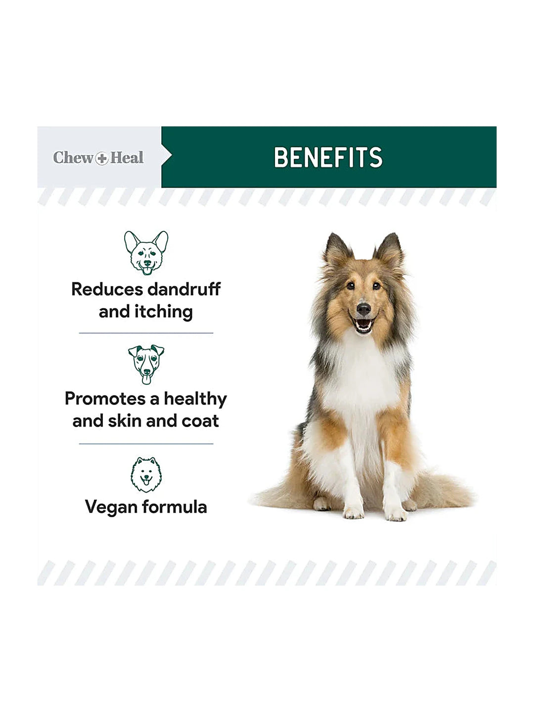 Algae Omega 3 Oil for Dogs