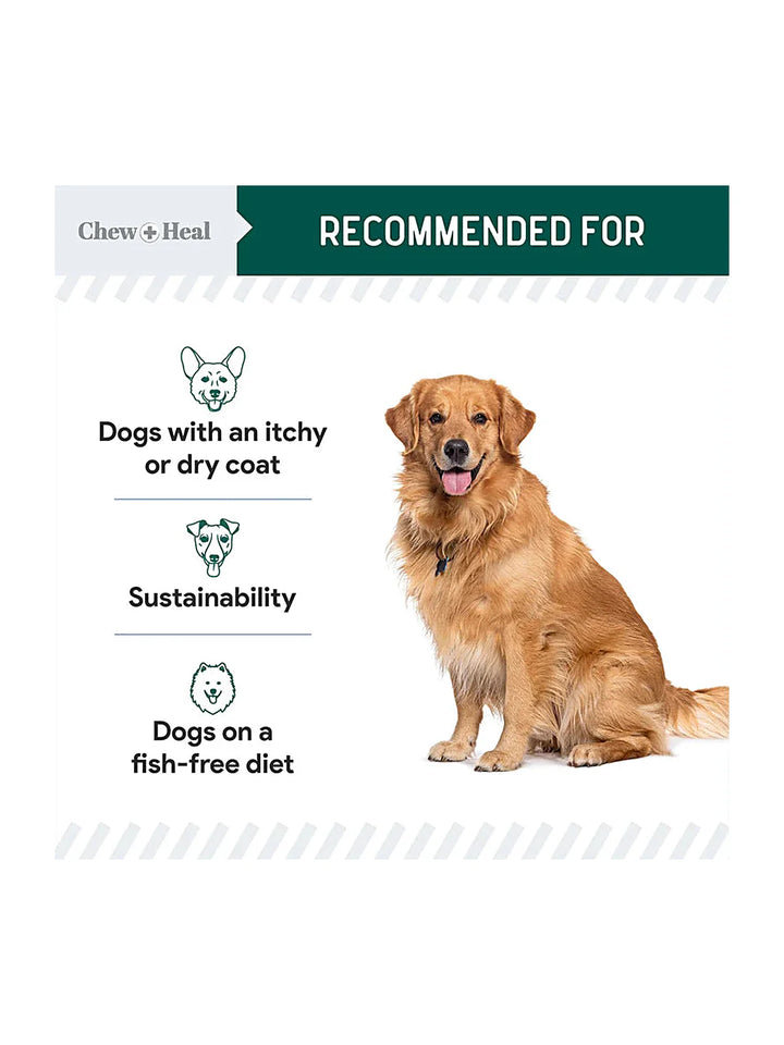 Algae Omega 3 Oil for Dogs