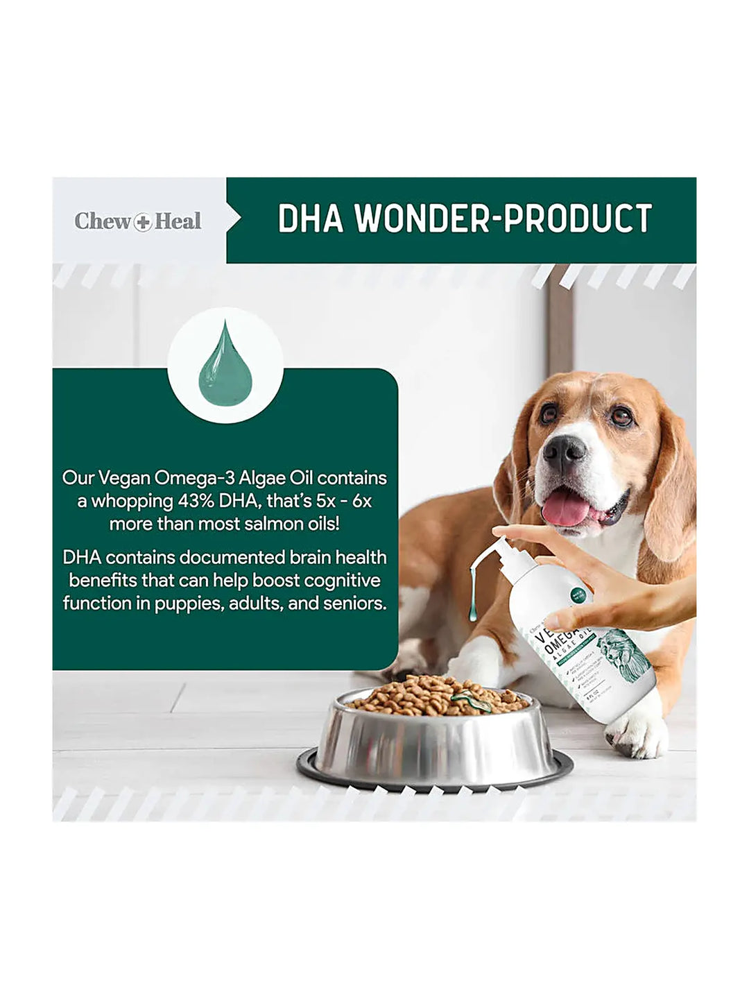 Algae Omega 3 Oil for Dogs