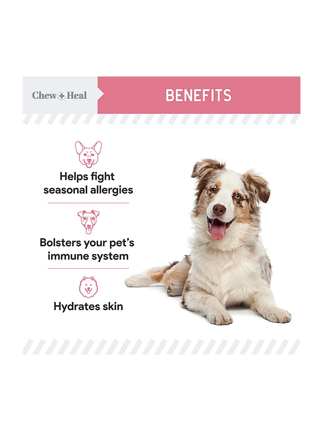 Allergy Aid Soft Chew Allergy Supplement for Dogs