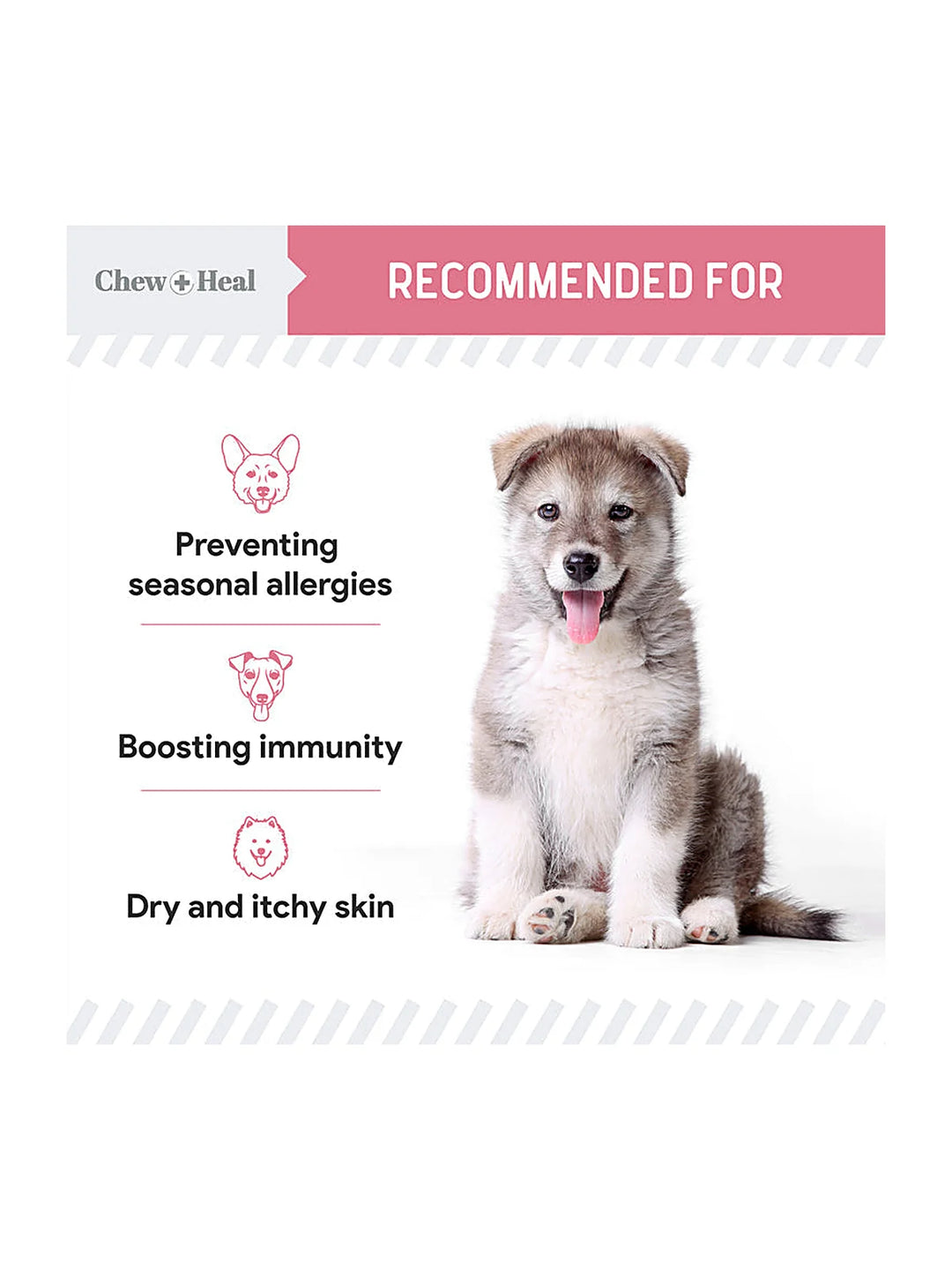 Allergy Aid Soft Chew Allergy Supplement for Dogs