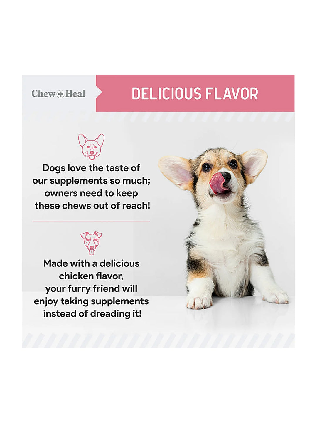 Allergy Aid Soft Chew Allergy Supplement for Dogs