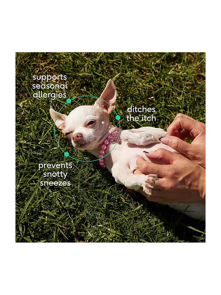 Allergy Chews