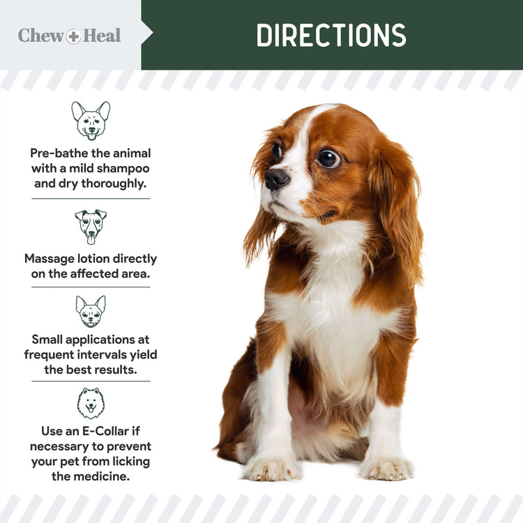 Hydrocortisone Lotion for Dogs 4oz