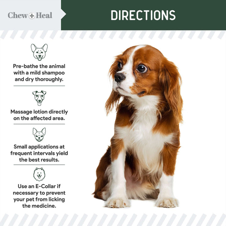 Hydrocortisone Lotion for Dogs 4oz