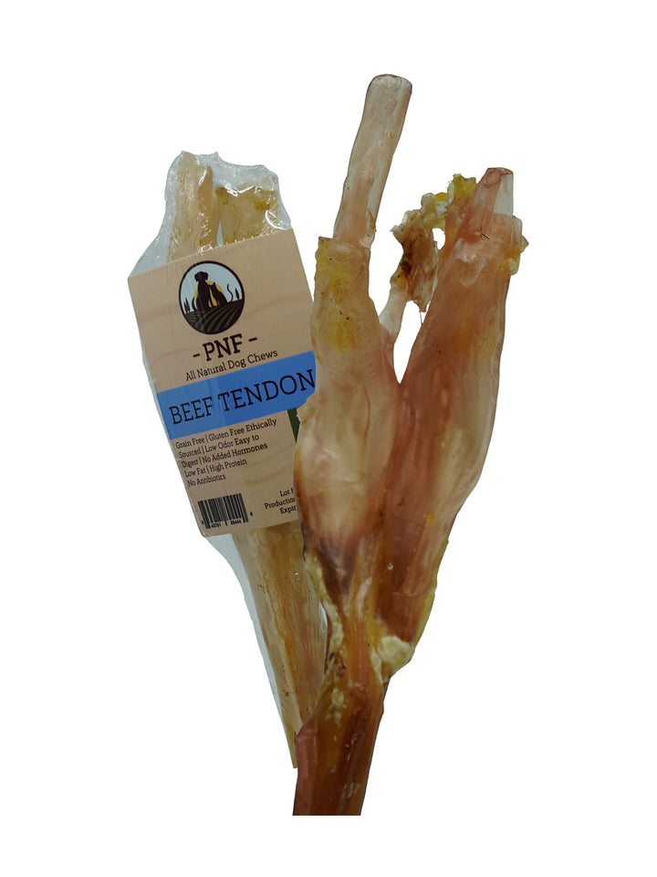 Beef Tendon