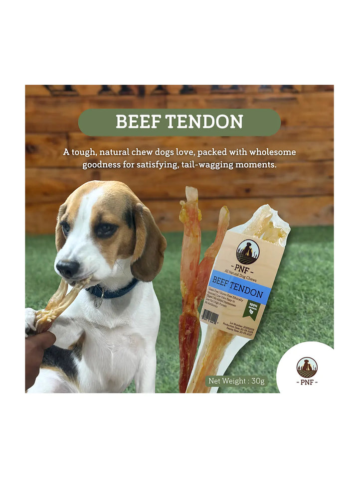 Beef Tendon
