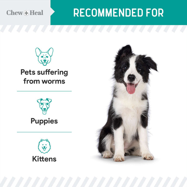 Stop The Worms Wormer for Puppies & Kittens 4oz