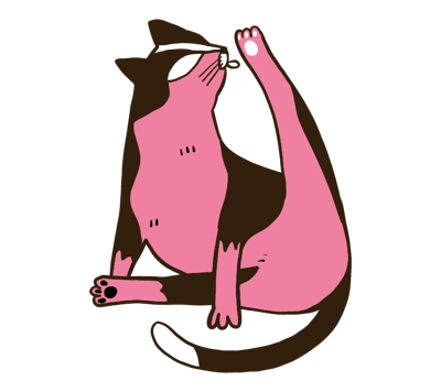 CAT GROOMING