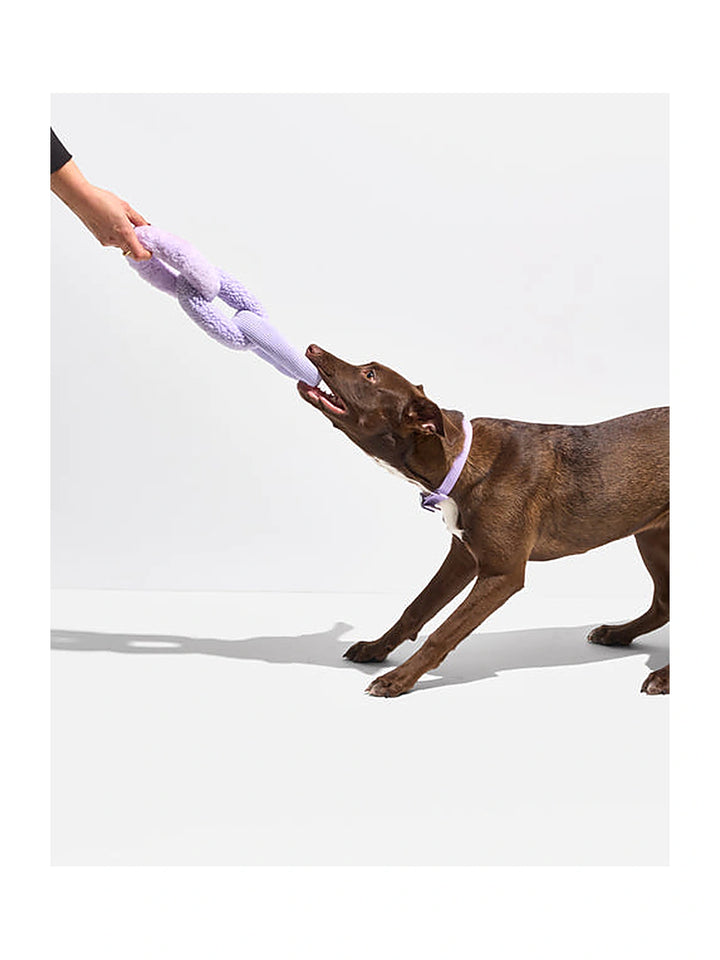 Chew Chain