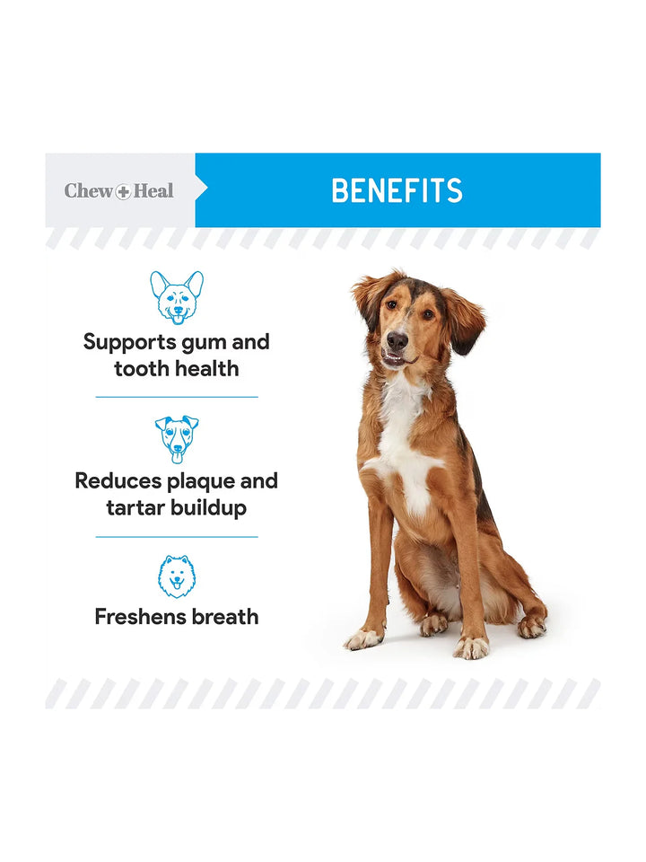 Chew + Heal Advanced Dental Support Powder with 6 Active Ingredients Dental Supplement for Dogs