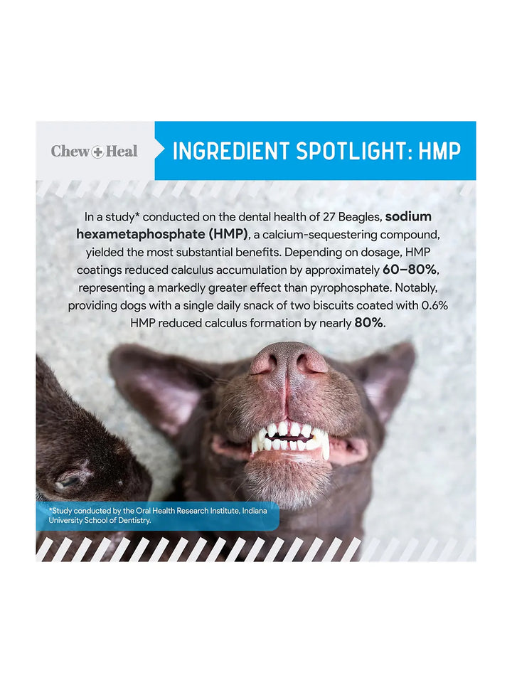 Chew + Heal Advanced Dental Support Powder with 6 Active Ingredients Dental Supplement for Dogs
