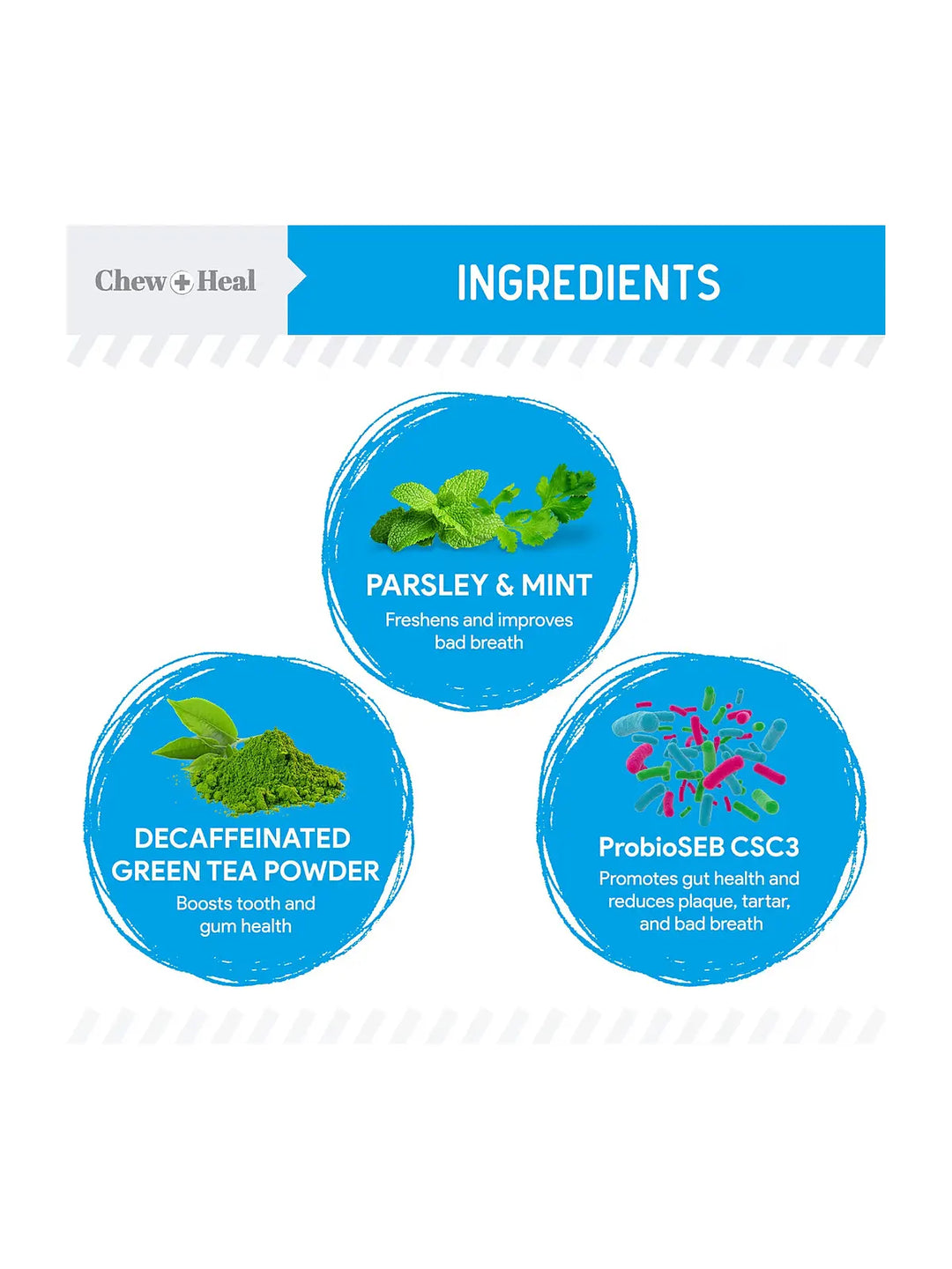 Chew + Heal Advanced Dental Support Powder with 6 Active Ingredients Dental Supplement for Dogs