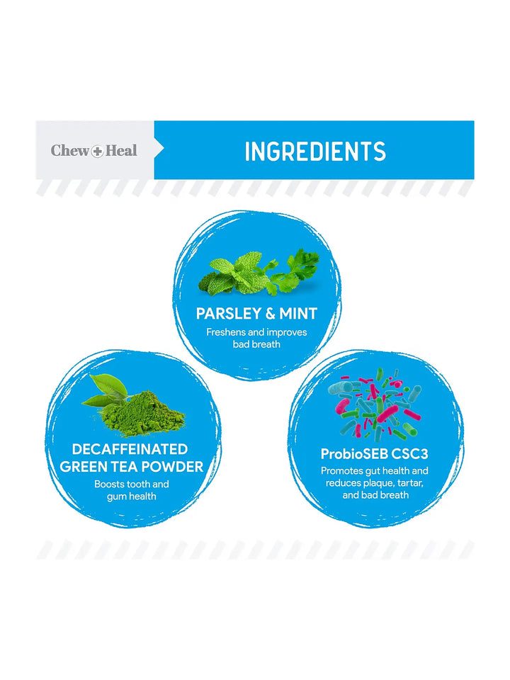 Chew + Heal Advanced Dental Support Powder with 6 Active Ingredients Dental Supplement for Dogs