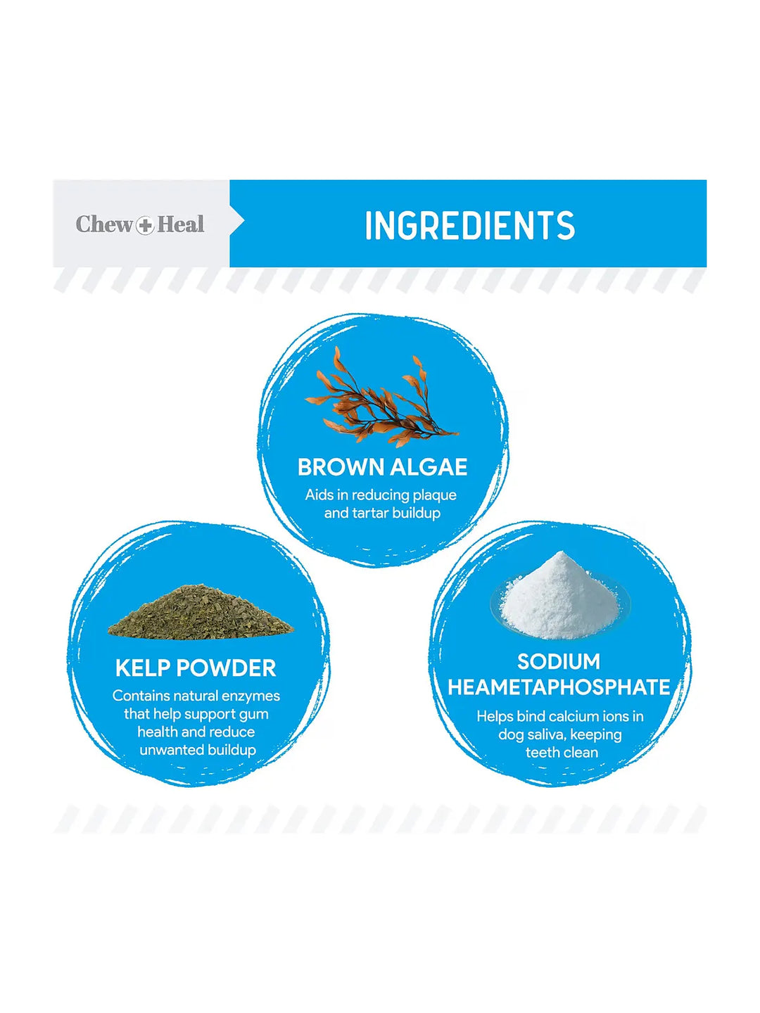 Chew + Heal Advanced Dental Support Powder with 6 Active Ingredients Dental Supplement for Dogs