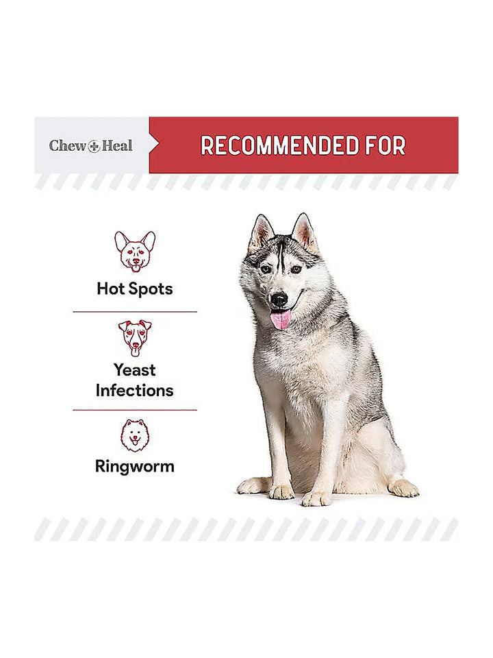 Chew + Heal Antibacterial & Antifungal Chlorhexidine & Ketoconazole Dog & Cat Grooming Wipes
