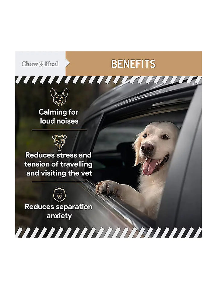 Chew + Heal Anxiety + Stress Peanut Butter Flavored Soft Chew Calming Dog Supplement 30 count