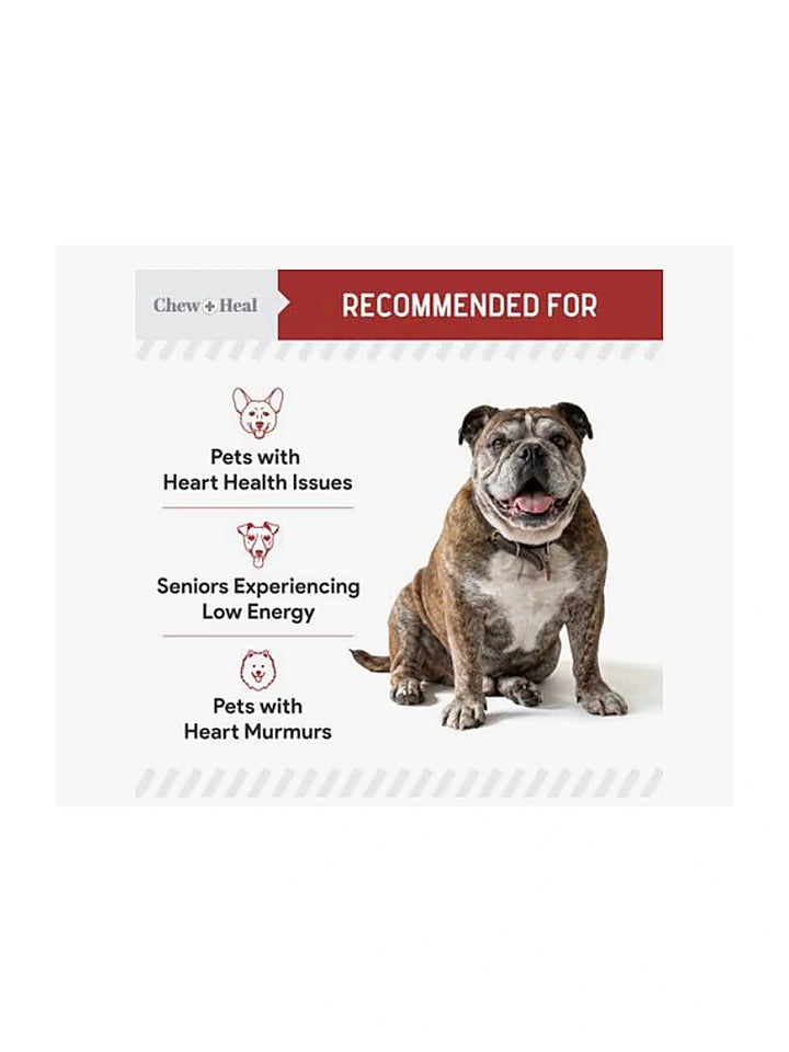Chew + Heal CoQ10 Heart Support Softgels Supplement for Dogs, 60 count.
