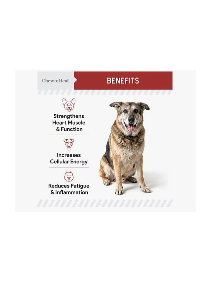 Chew + Heal CoQ10 Heart Support Softgels Supplement for Dogs, 60 count.
