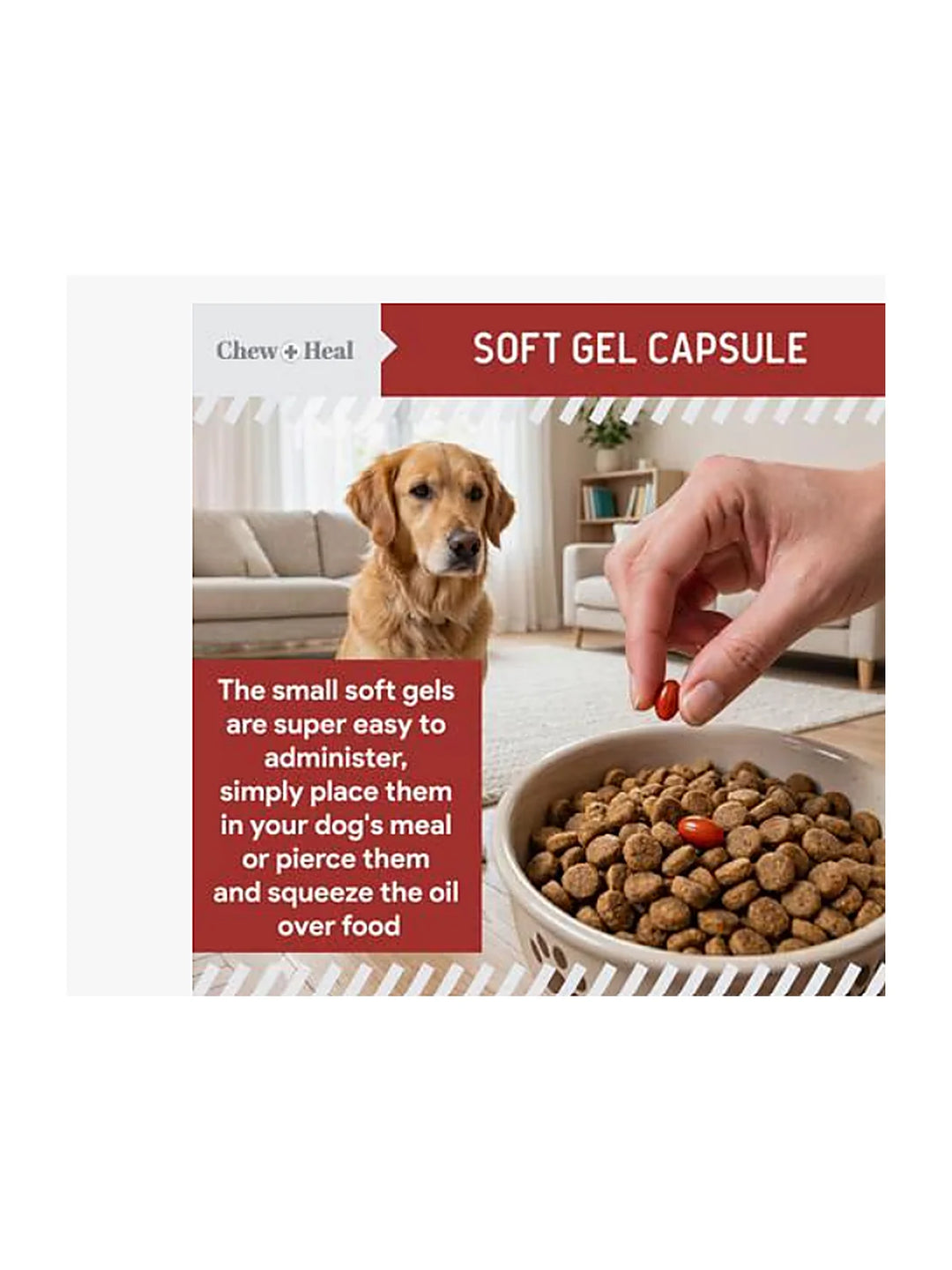 Chew + Heal CoQ10 Heart Support Softgels Supplement for Dogs, 60 count.