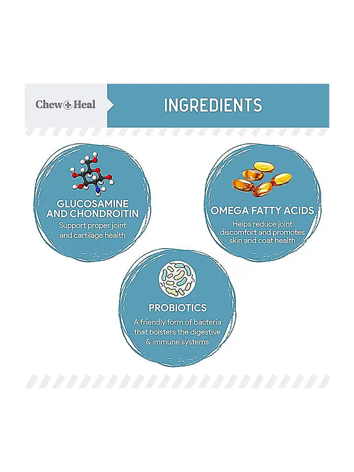 Chew + Heal Daily 12-in-1 Multivitamin, Multifunctional Wellness Powder Supplement for Dogs