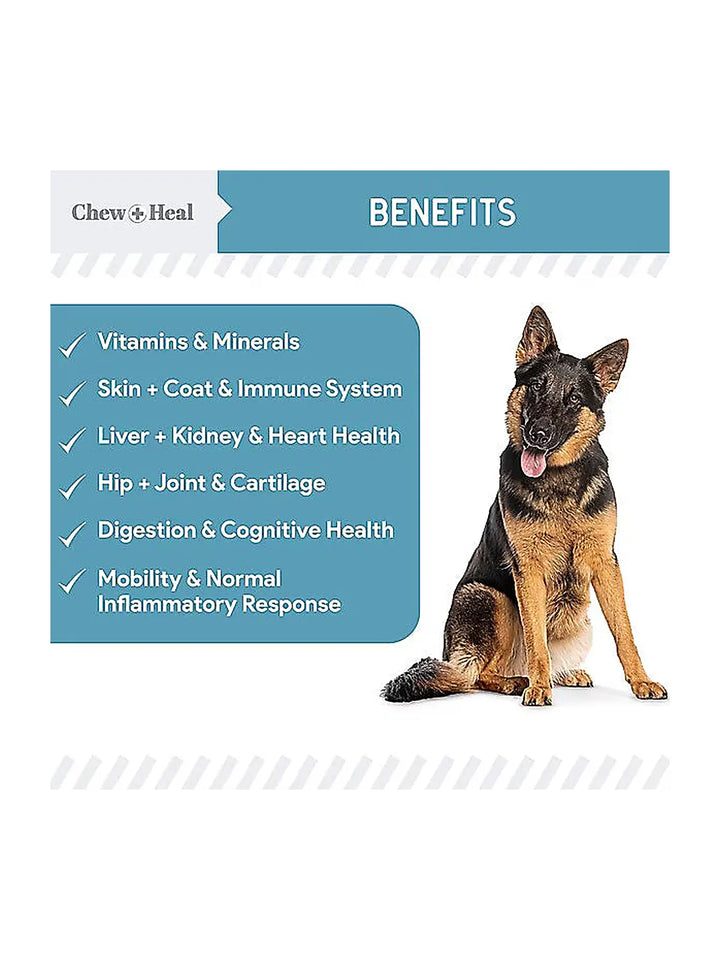 Chew + Heal Daily 12-in-1 Multivitamin, Multifunctional Wellness Powder Supplement for Dogs
