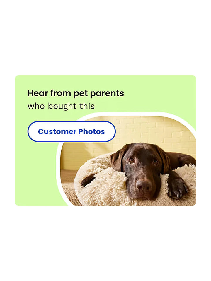 Chew + Heal Essential 12-in-1 Multivitamin Soft Chews for Dogs