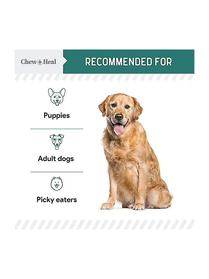 Chew + Heal Essential 12-in-1 Multivitamin Soft Chews for Dogs