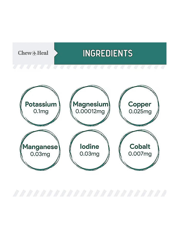Chew + Heal Essential 12-in-1 Multivitamin Soft Chews for Dogs
