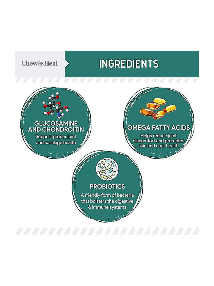 Chew + Heal Essential 12-in-1 Multivitamin Soft Chews for Dogs