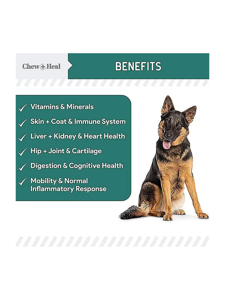 Chew + Heal Essential 12-in-1 Multivitamin Soft Chews for Dogs