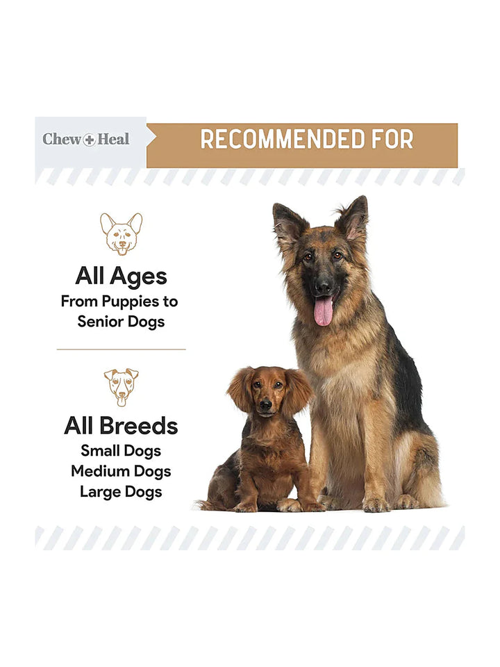 Chew + Heal Glucosamine Hip + Joint Peanut Butter Flavored Soft Chew Joint Supplement for Dogs, 90 count