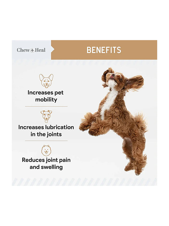 Chew + Heal Glucosamine Hip + Joint Peanut Butter Flavored Soft Chew Joint Supplement for Dogs, 90 count