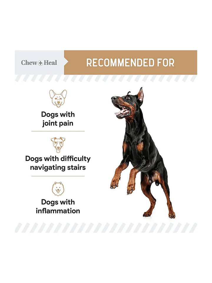 Chew + Heal Glucosamine Hip + Joint Peanut Butter Flavored Soft Chew Joint Supplement for Dogs, 90 count
