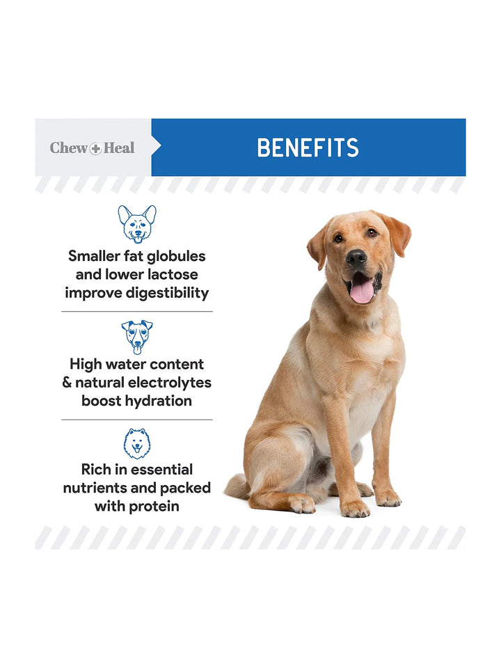 Chew + Heal High Protein Goat Milk Powder Digestive Aid Supplement for Dogs, 6-oz jar